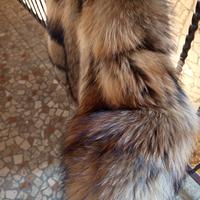 pelliccia in Murnasky Champagne 