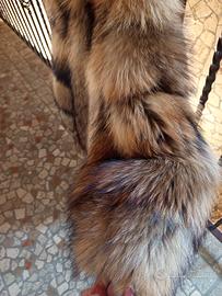 pelliccia in Murnasky Champagne 