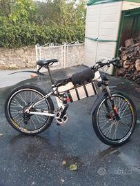  bici elettrica 