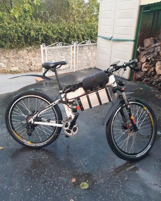  bici elettrica 
