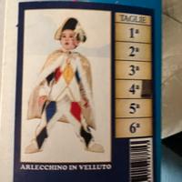 Vestito di Carnevale Arlecchino elegante