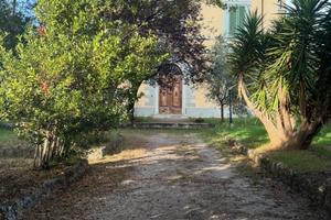 Casa storica Pietrasanta con giardino e posto auto