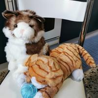 Lotto 2 peluches gatto medi