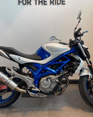 Suzuki Gladius