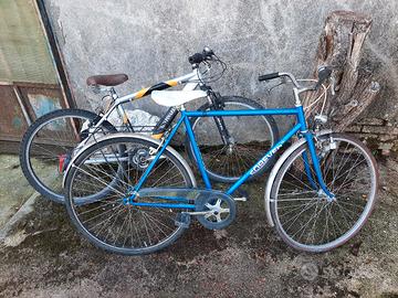 bicicletta da uomo e mountain bike