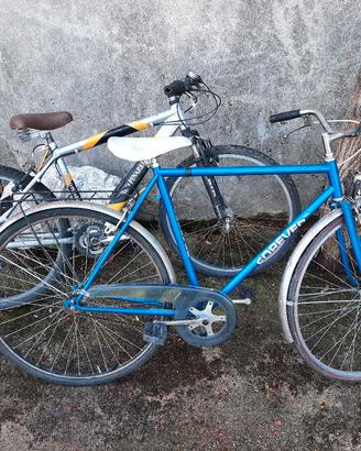 bicicletta da uomo e mountain bike