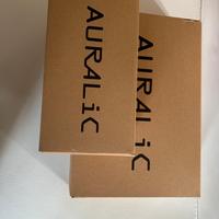 Aries Auralic