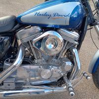 Harley Davidson Sportster 883 Hugger