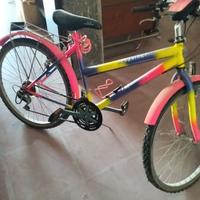 bicicletta
