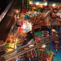 Flipper Cactus Canyon