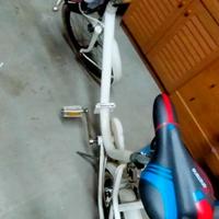 Bicicletta Graziella