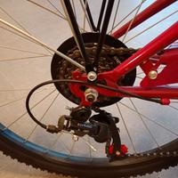 Bicicletta