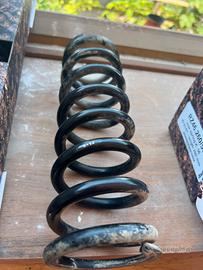 Molle mono beta 300 rr