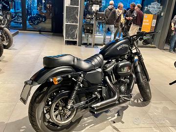 Harley Davidson sportster 883 Iron