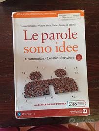 le parole sono idee