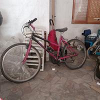 Mountain-bike Bianchi Rhagodex