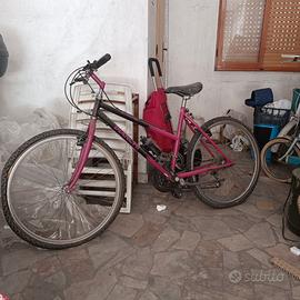 Mountain-bike Bianchi Rhagodex