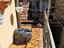 Immagine 14