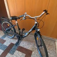 Bici pedalata assistita