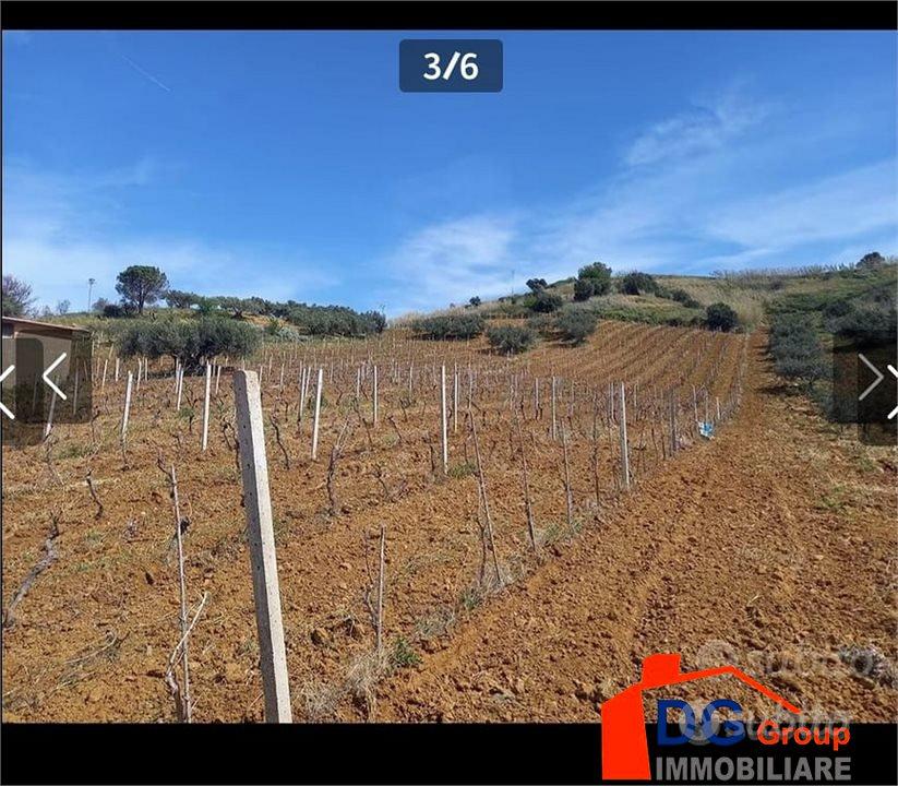 TERRENO CON RUDERE - Altro