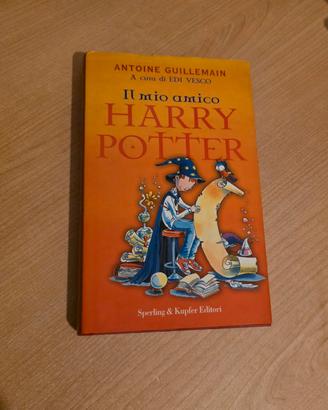 Libro il mio amico Harry Potter