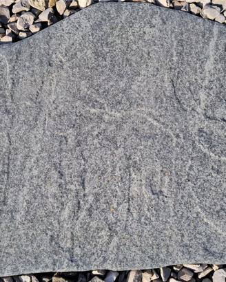 Plotte camminata n.8