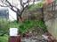 Immagine 26