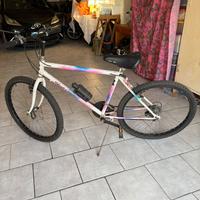 Bicicletta Mountain bike