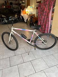 Bicicletta Mountain bike
