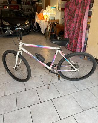 Bicicletta Mountain bike