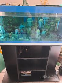 Acquario 250L