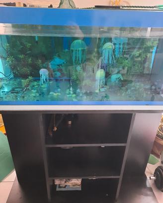 Acquario 250L