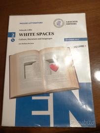 Libro di Letteratura Inglese in lingua Inglese 