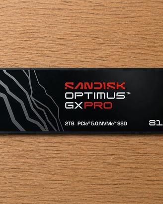 Sandisk Optimus FX pro 8100  2TB
