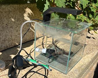 acquario cube 5 LED  CIANO