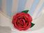 Immagine 5