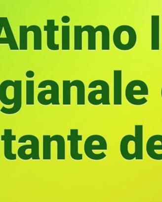 Locale artigianale con locale deposito