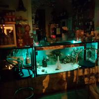 acquario