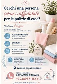 Pulizie, colf