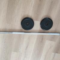 bilanciere con dischi in ghisa gommati 