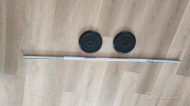 bilanciere con dischi in ghisa gommati 