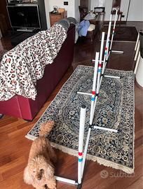 Attrezzo agility dog