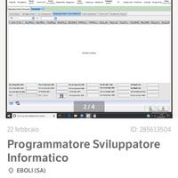 Programmatore sviluppatore informatico
