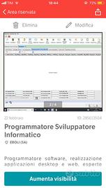 Programmatore sviluppatore informatico