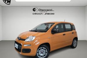 FIAT Panda 3ª serie Panda 1.0 FireFly S&S Hybrid