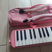 Diamonica Bontempi con custodia 