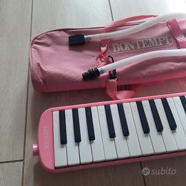 Diamonica Bontempi con custodia 