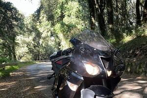 Kawasaki ninja