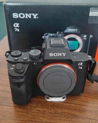 Sony a7II + Tamron 28-200