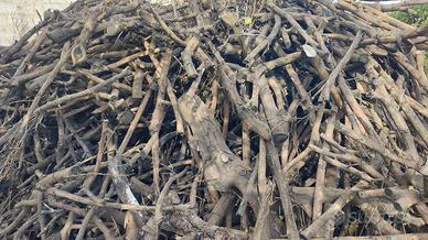 Legna arancio da ardere da coltivazione biologica